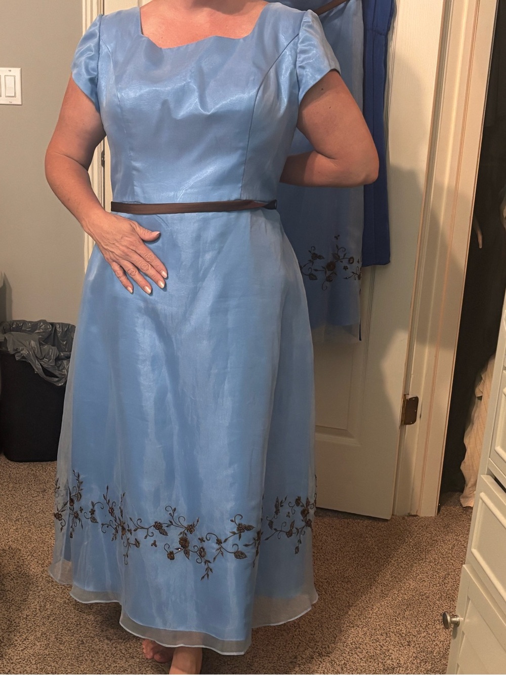 Elegant Light Blue A-Line Dress with Brown Embroidery